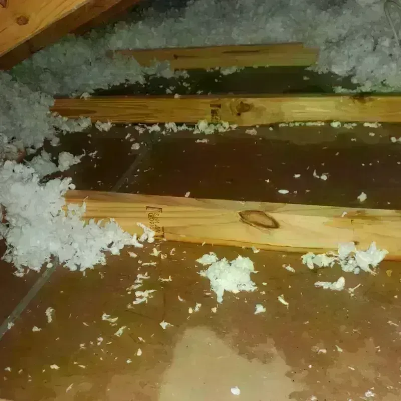 Attic Water Damage in Trenton, OH